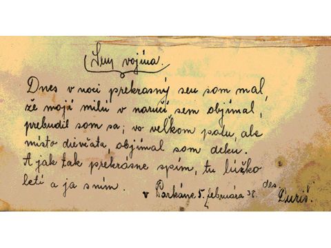 Foto 41